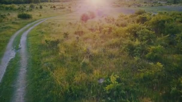 Toprak yol için çayır — Stok video
