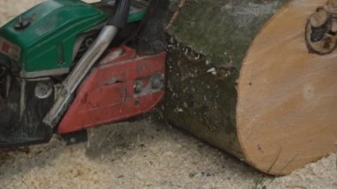 Zincirli Ağaç kesme testereleri uçan talaşla