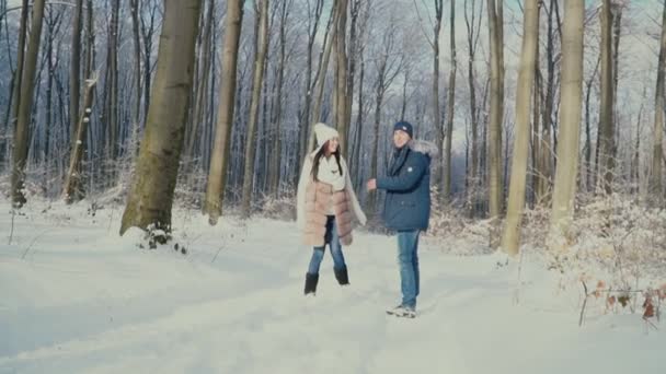 Casal caminhando pela floresta de inverno — Vídeo de Stock