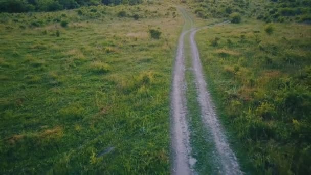牧草地に未舗装の道路 — ストック動画