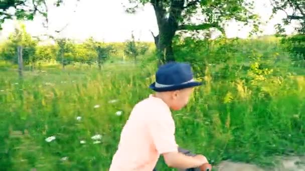 Kleiner Junge fährt Fahrrad ohne Pedale — Stockvideo