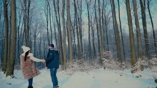 Pareja caminando por el bosque de invierno — Vídeos de Stock