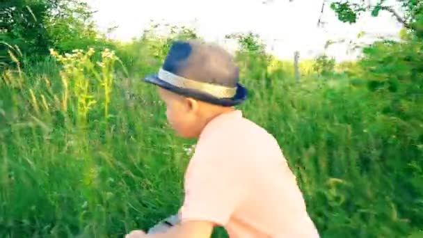 petit garçon en vélo sans pédales 