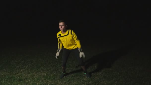 Goalkeeper catches the ball — Stock Video