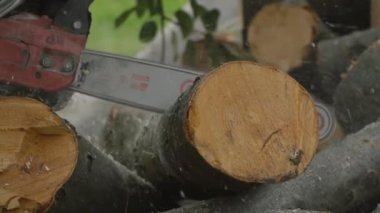 Zincirli Ağaç kesme testereleri uçan talaşla