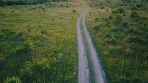 牧草地に未舗装の道路 — ストック動画
