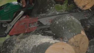 Zincirli Ağaç kesme testereleri uçan talaşla