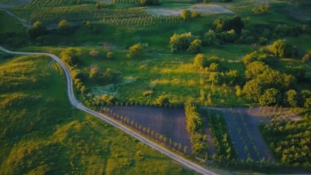 Estrada de terra para o prado — Vídeo de Stock