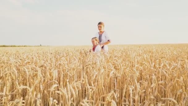 Máma a dítě se prochází pšenice — Stock video