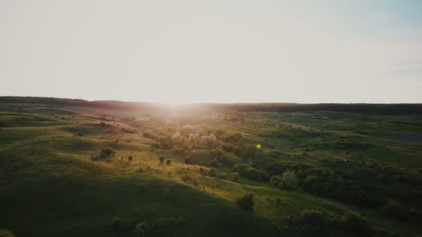 Árboles en el césped al atardecer — Vídeos de Stock