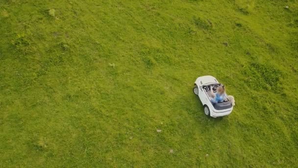 La niña está conduciendo un coche — Vídeos de Stock