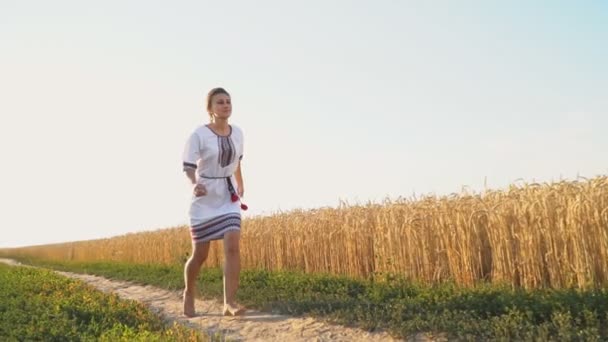 Das Mädchen läuft auf einem Feldweg — Stockvideo