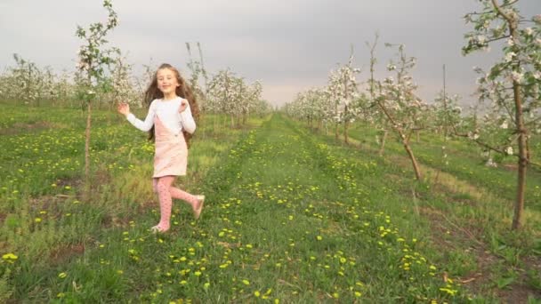 Liten flicka går runt äppelträdgården — Stockvideo