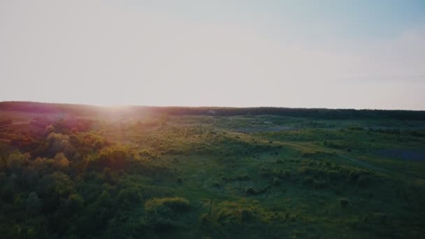 arbres sur la pelouse au coucher du soleil soleil 