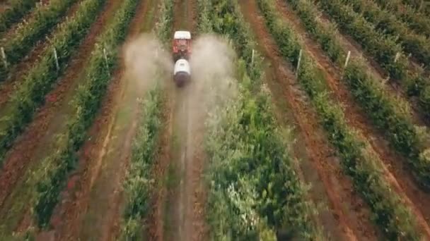 Apple tree besprutning med en traktor — Stockvideo