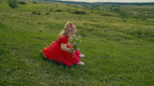 Маленькая девочка в красном платье — стоковое видео