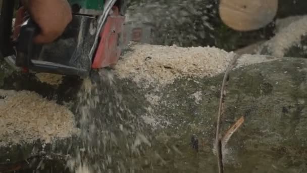 Chippings flying from chainsaws — Stock Video