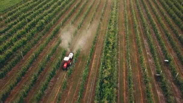 Appelboom, spuiten met een trekker — Stockvideo