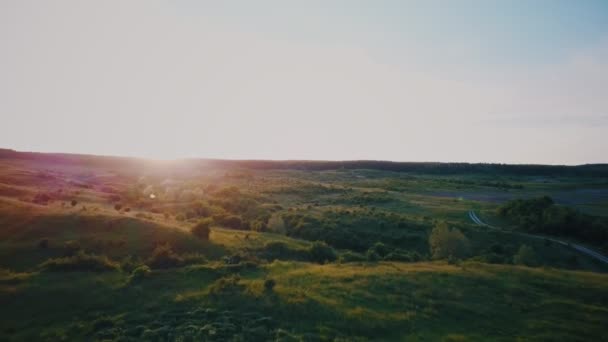 Drzewa na trawniku zachód słońca — Wideo stockowe