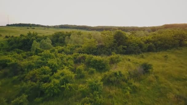 Krajobraz z widok z lotu ptaka — Wideo stockowe