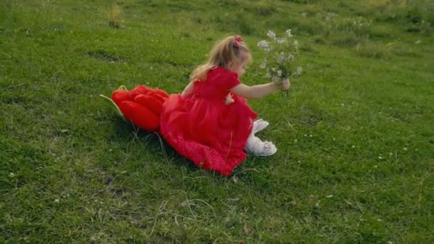 Маленька дівчинка в червоній сукні — стокове відео