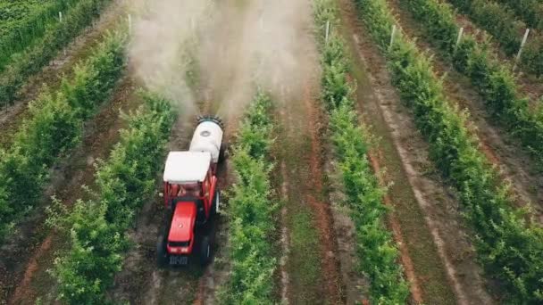 Appelboom, spuiten met een trekker — Stockvideo