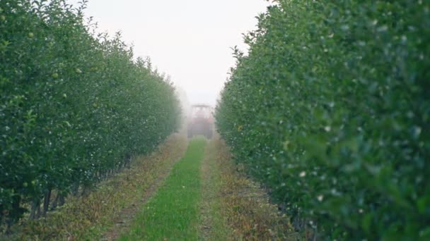 Elma ağacı bir traktör ile püskürtme — Stok video