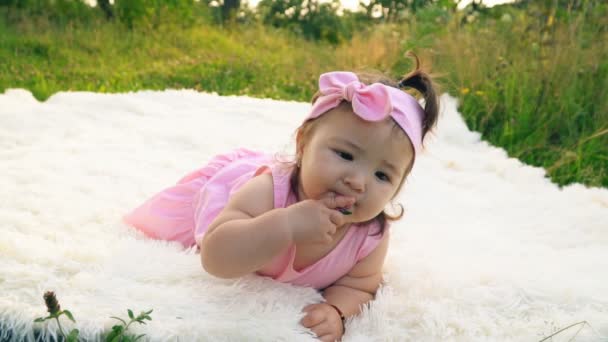 Little girl in the nature — Stock Video