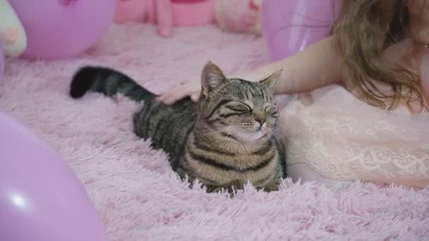 Fille avec un chat sur le canapé — Video