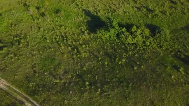 Chemin de terre à la prairie — Video