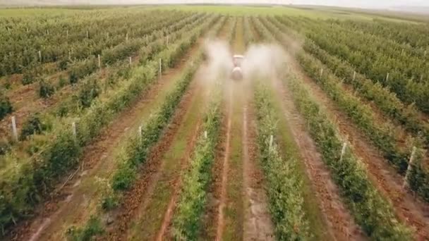 Apple tree besprutning med en traktor — Stockvideo