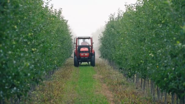 Apfelbaum mit Traktor besprüht — Stockvideo