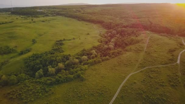 paysage avec vue sur les oiseaux 