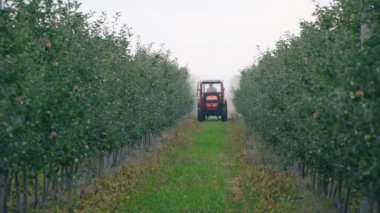 elma ağacı bir traktör ile püskürtme