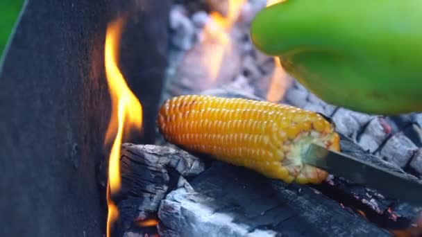 Cozinhar o milho no fogo — Vídeo de Stock