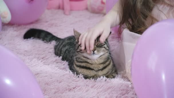 Mädchen mit Katze auf der Couch — Stockvideo