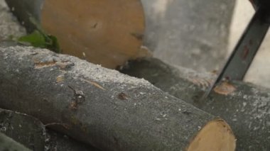 Zincirli Ağaç kesme testereleri uçan talaşla