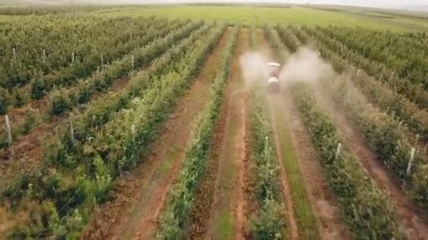 Apple tree besprutning med en traktor — Stockvideo