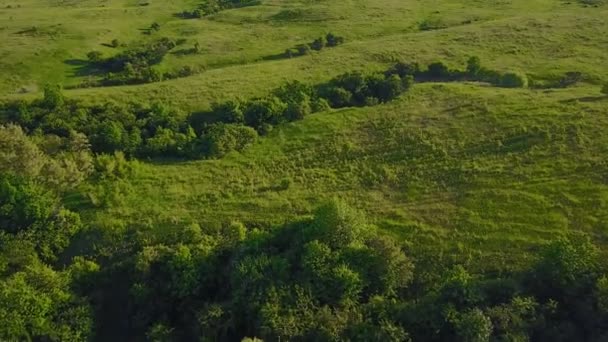 Paisagem com vista para os olhos dos pássaros — Vídeo de Stock