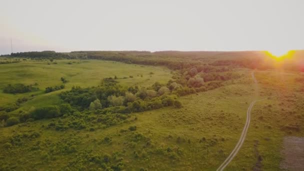 paysage avec vue sur les oiseaux 