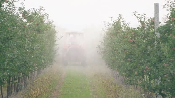 Apple tree besprutning med en traktor — Stockvideo