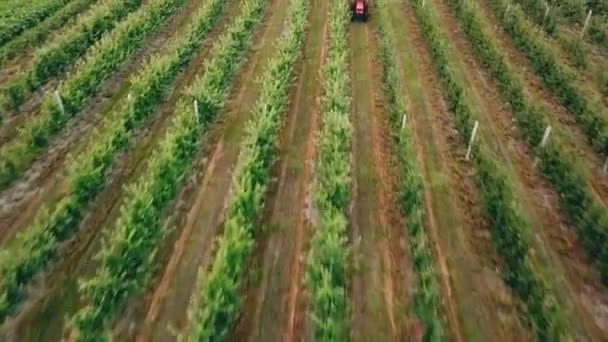 Spuiten Van Appelbomen Met Een Trekker — Stockvideo