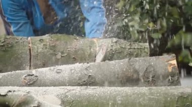 Zincirli Ağaç kesme testereleri uçan talaşla