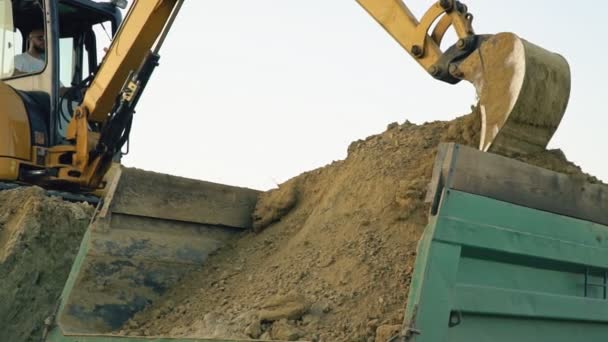 Bagger belädt einen Lastwagen — Stockvideo