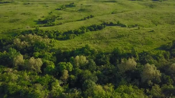 chemin de terre à la prairie 