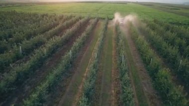 elma ağacı bir traktör ile püskürtme