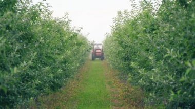 elma ağacı bir traktör ile püskürtme