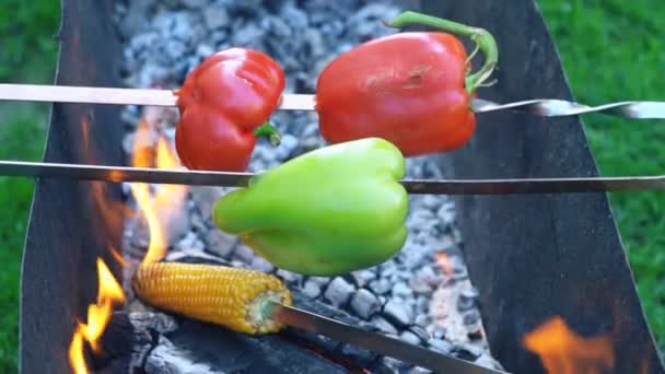 Cozinhar pimentão no fogo — Vídeo de Stock