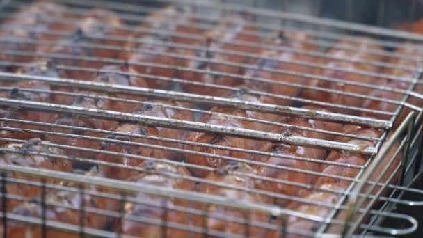 Cuisson des saucisses sur le feu — Video