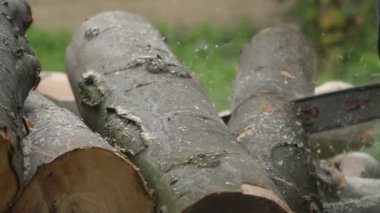 Zincirli Ağaç kesme testereleri uçan talaşla